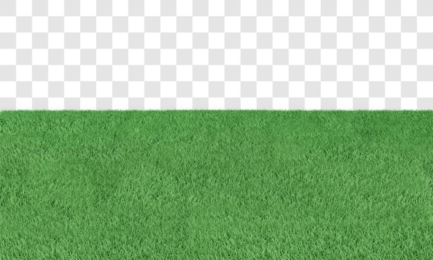 PSD renderowanie 3d zielonej trawy
