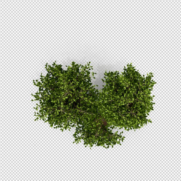 Renderowanie izometryczne roślin 3d