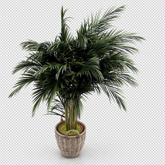Renderowanie izometryczne roślin 3d
