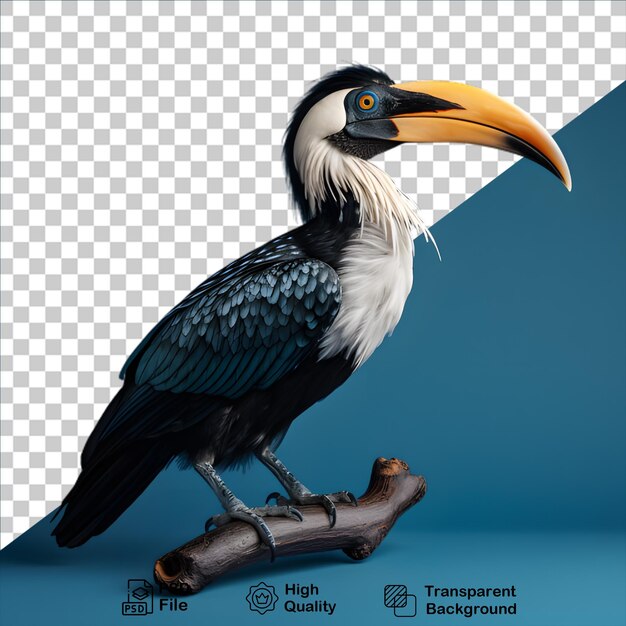 PSD rhinoceros hornbill vogel geïsoleerd op transparante achtergrond inclusief png-bestand