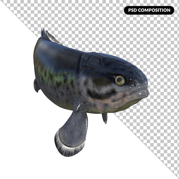 PSD dinosauro rhizodus pesce isolato rendering 3d