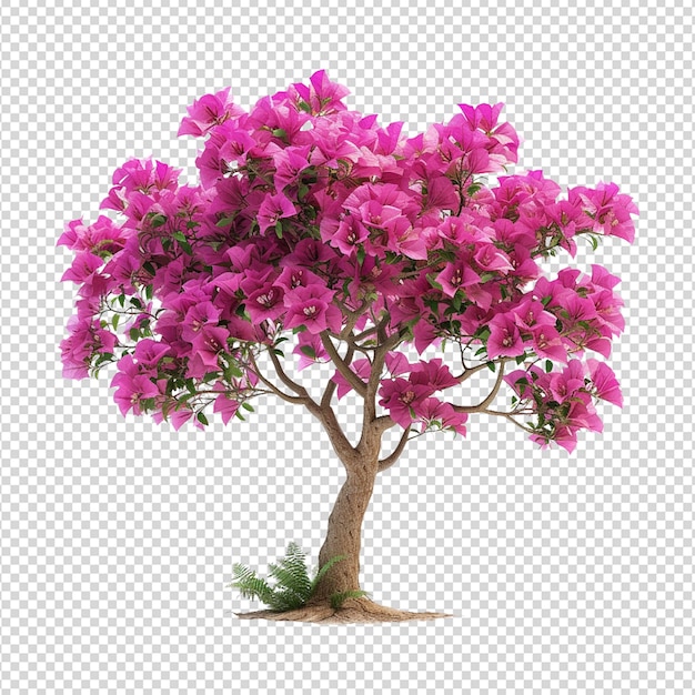 PSD rhododendron czerwone drzewo png