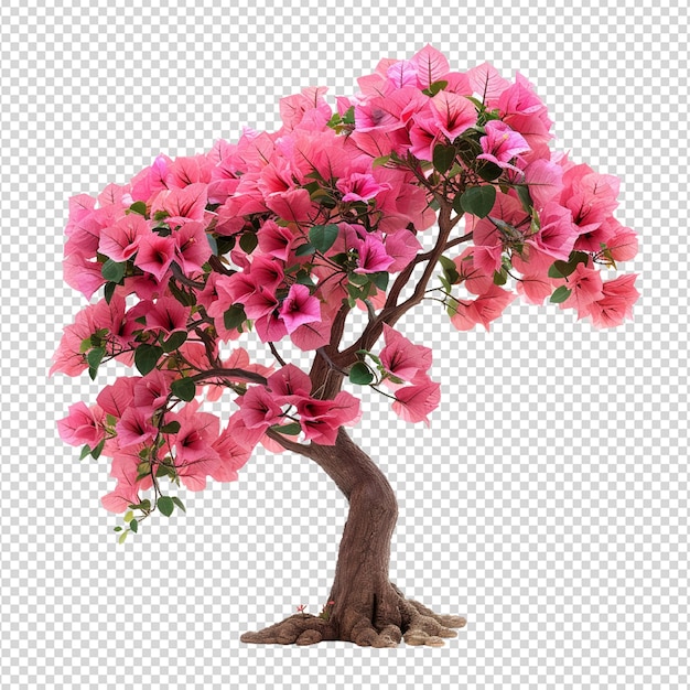 rhododendron rode boom png