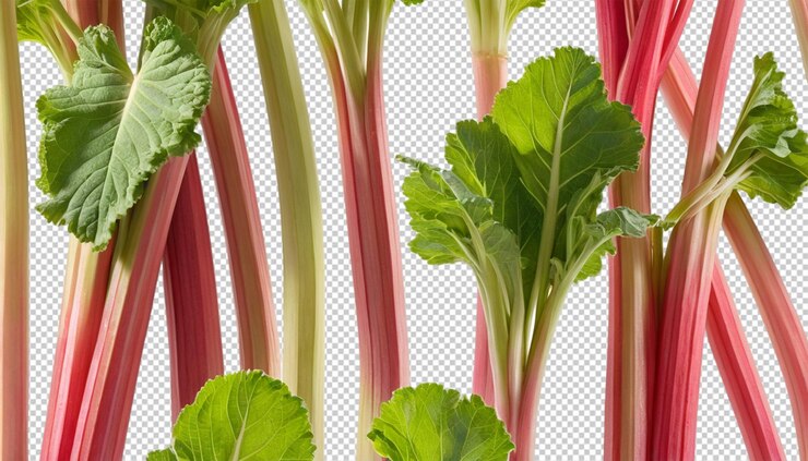 PSD rhubarb stalks png