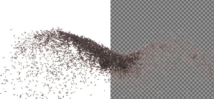 PSD riceberry rice pouring down from bag black purple berry grain wave floating fall down in air rice berry is organic healthy food white background isolated high speed shutter freeze stop motion