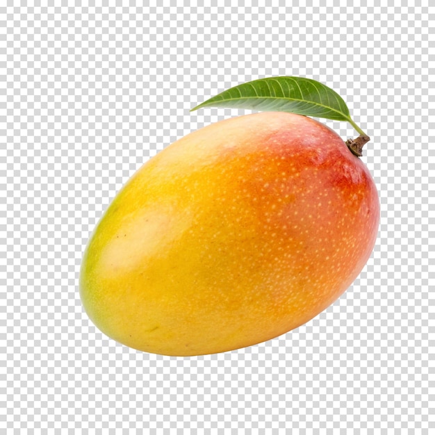 Rijke mango met blad