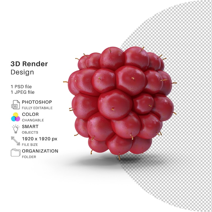 PSD not ripe berry blackberry fruit black 3d modeling psd file realistic