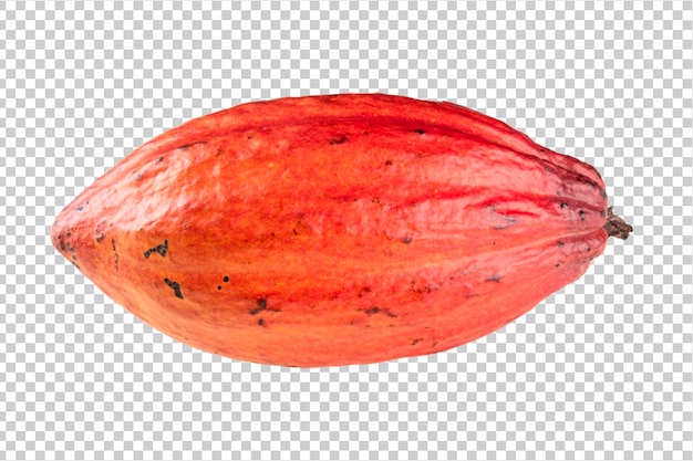 Ripe cocoa fruit isolated png transparent background