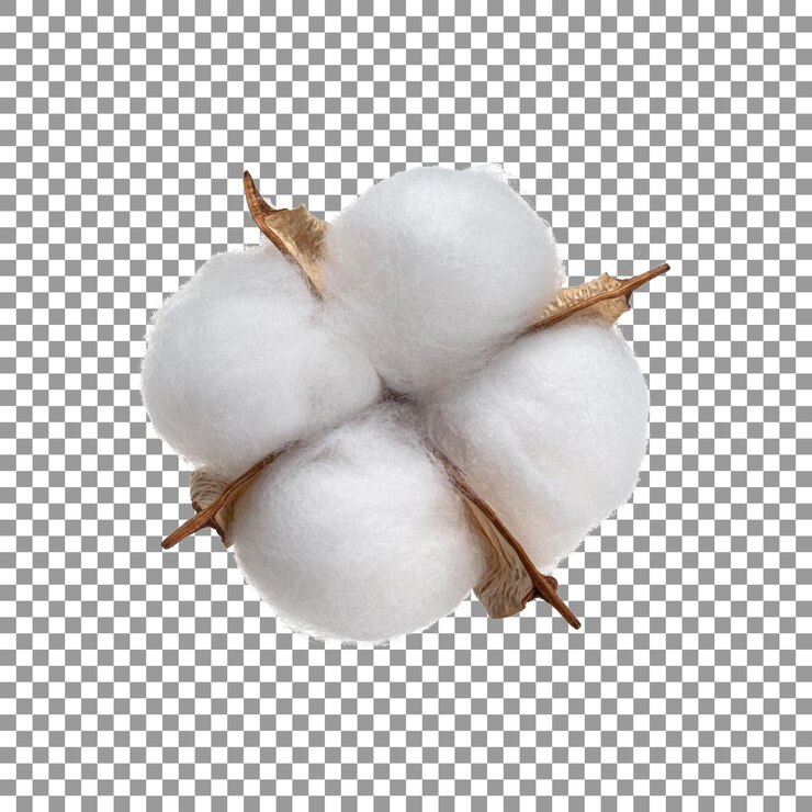 PSD 透明な背景に分離された熟した綿の花