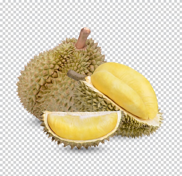 Ripe durian fruit isolated premium psd