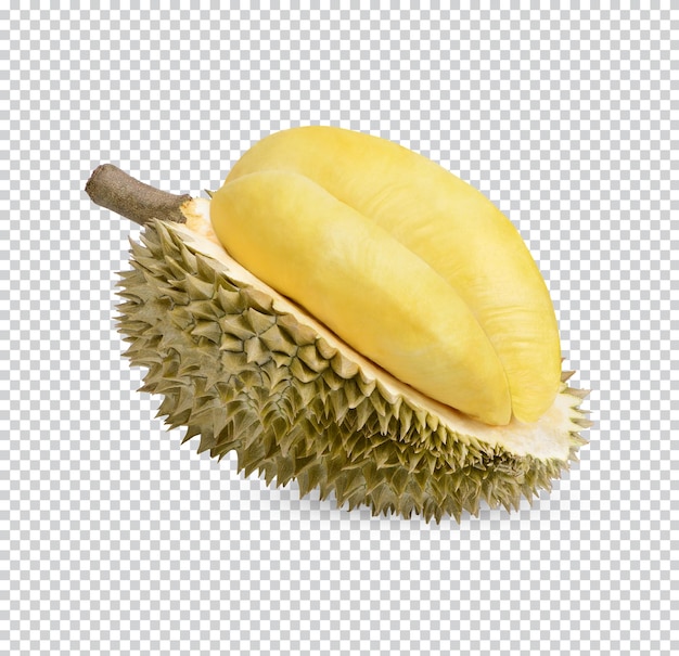 Ripe durian fruit isolated premium psd