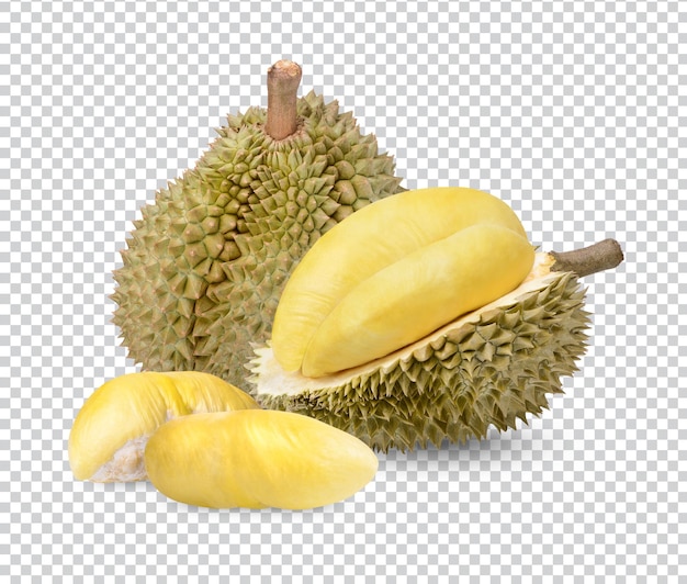 PSD ripe durian fruit isolated premium psd