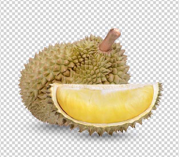 Ripe durian fruit isolated