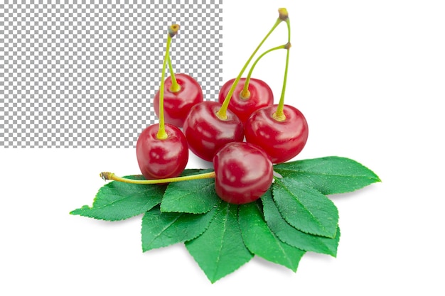 Ripe fresh cherry with foliage isolated on transparent background