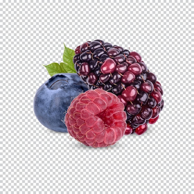 PSD ripe fruits blackberry blueberry and rasberry help prevent fat clots in the arteries about heart disease contains phytonutrients premium psd