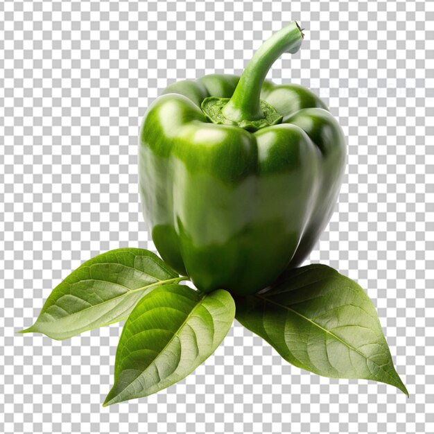 Ripe green bell pepper isolated on white