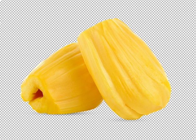 Ripe Jackfruit isolated on alpha layer background