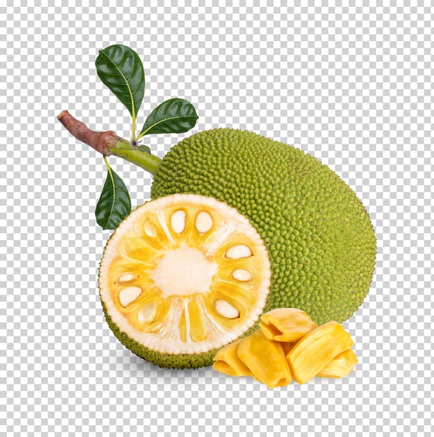 Ripe jackfruit isolated premium psd