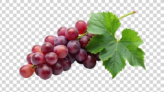 PSD ripe red grapes with leaves isolated on transparent background