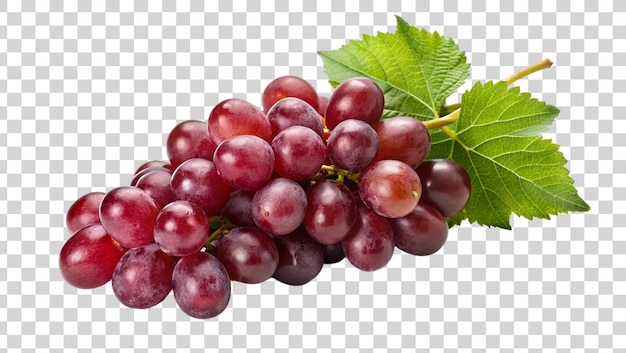 Ripe red grapes with leaves isolated on transparent background