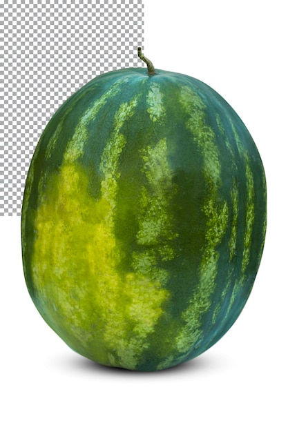 Ripe watermelon with yellow spot isolated on transparent background