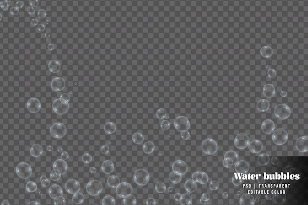 Rises up water bubbles isolated on transparent background