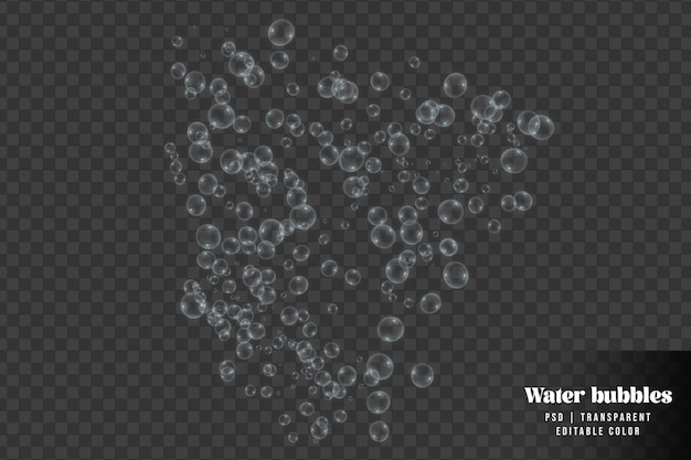 PSD rises up water bubbles isolated on transparent background