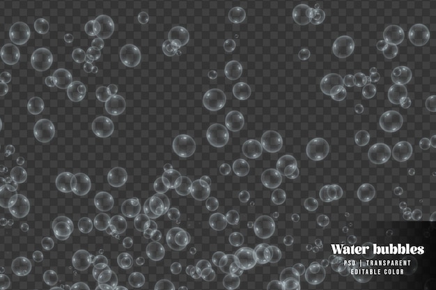 PSD rises up water bubbles isolated on transparent background