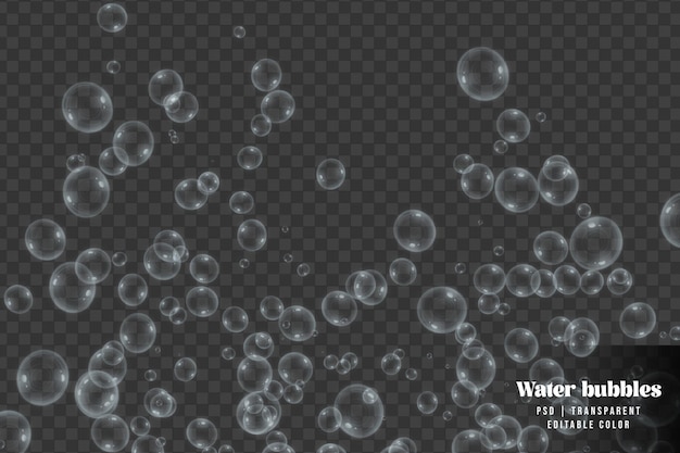 Rises up water bubbles isolated on transparent background