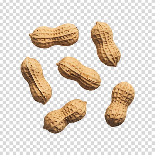 Roasted Peanuts Isolated on Transparent Background