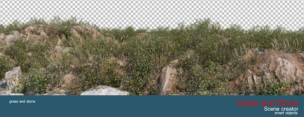 Rocks and grass growing on the hill