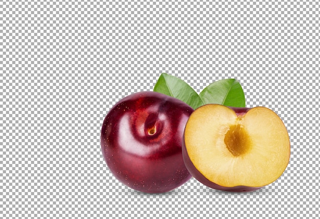 Rode kersenpruim met blad