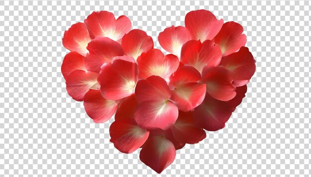 PSD rode roosblaadjes in de vorm van een hart geïsoleerd op een doorzichtige achtergrond