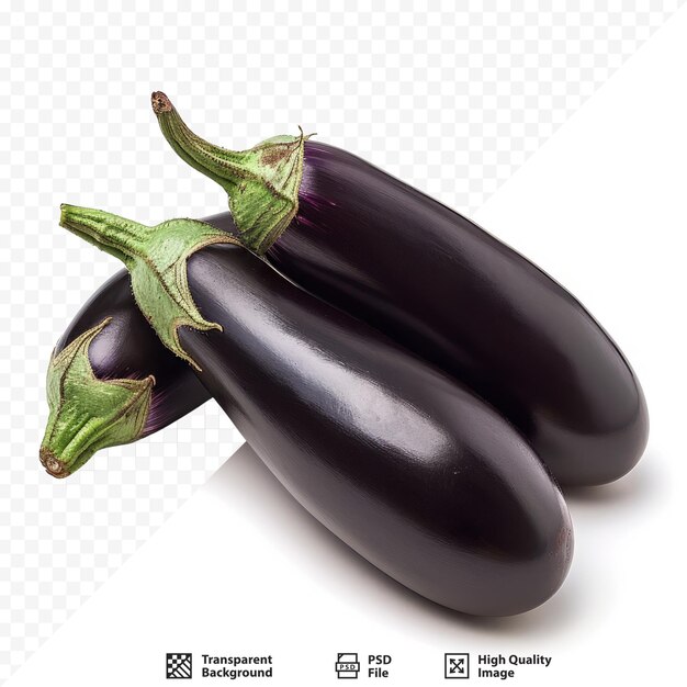 PSD rolls of eggplant