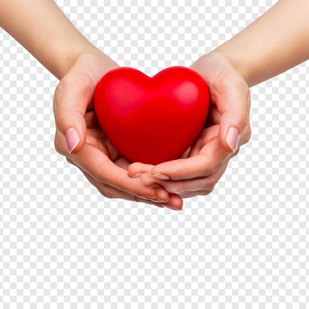 Rood hart in de handen van een vrouw.