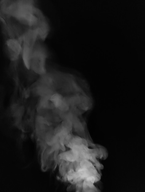 Rook png afbeelding voorraadfoto