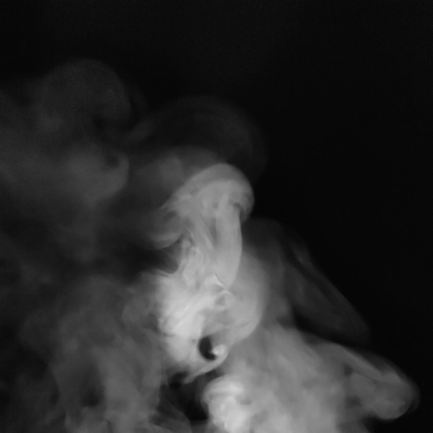 Rook png afbeelding voorraadfoto