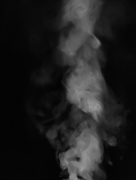 Rook png afbeelding voorraadfoto