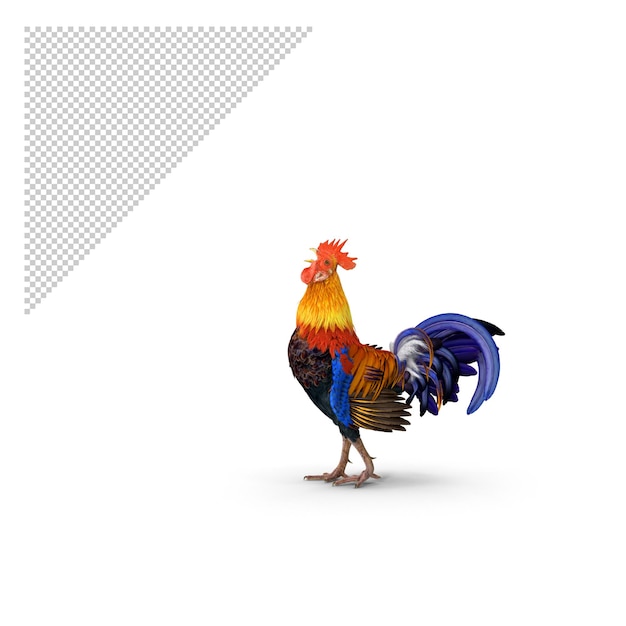 PSD rooster png