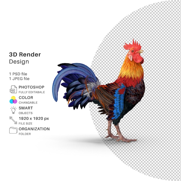 PSD Петух rigged hen chciken 3d render