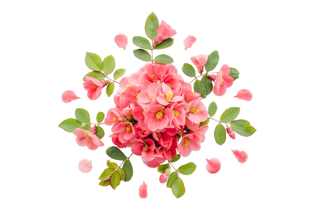 PSD elementi di fiori di rosa isolati