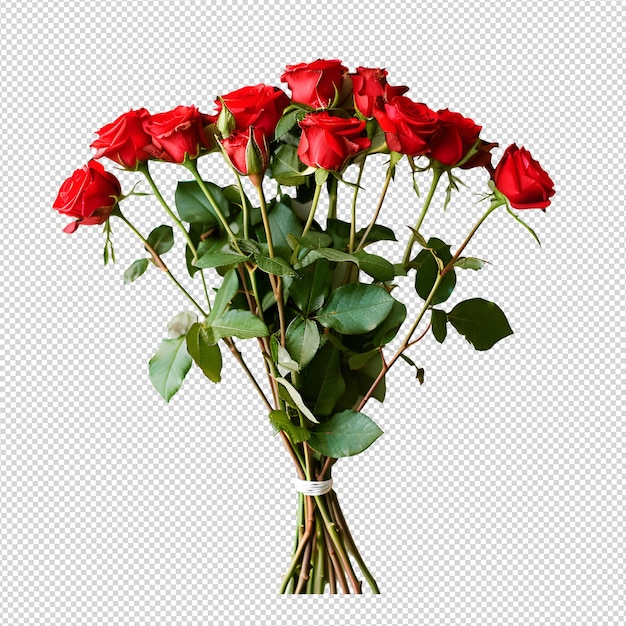 PSD rose flower png isolated on transparent background
