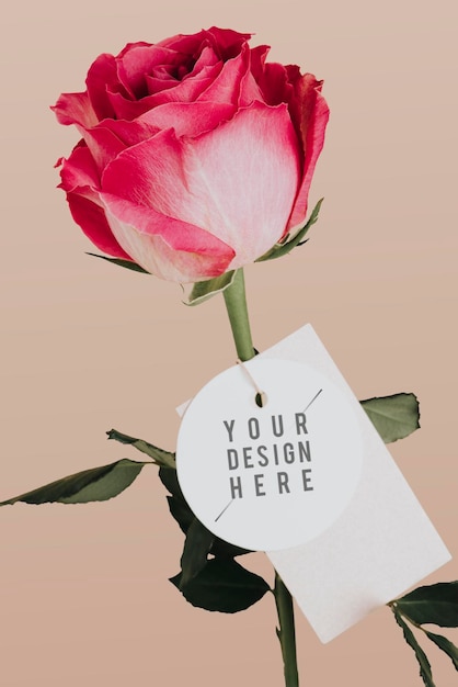 PSD rose flower with a tag mockup