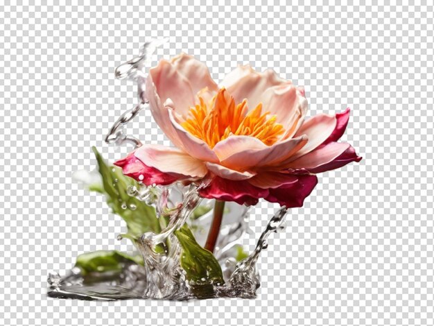 PSD rose flowers and leaves png