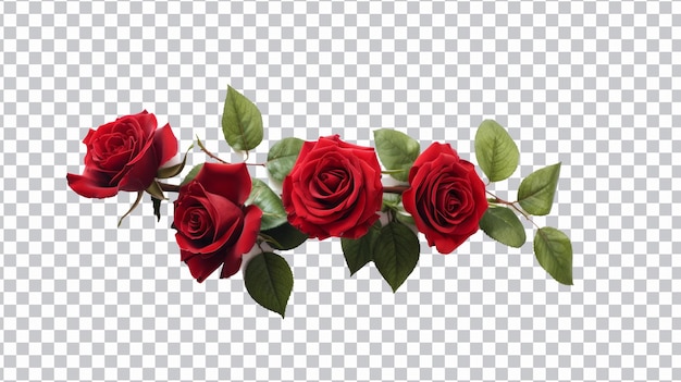 PSD rose flowers png