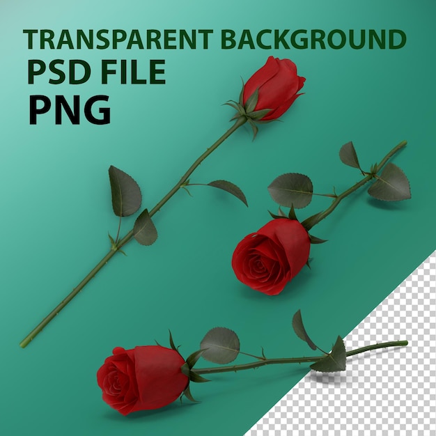 PSD rose red png