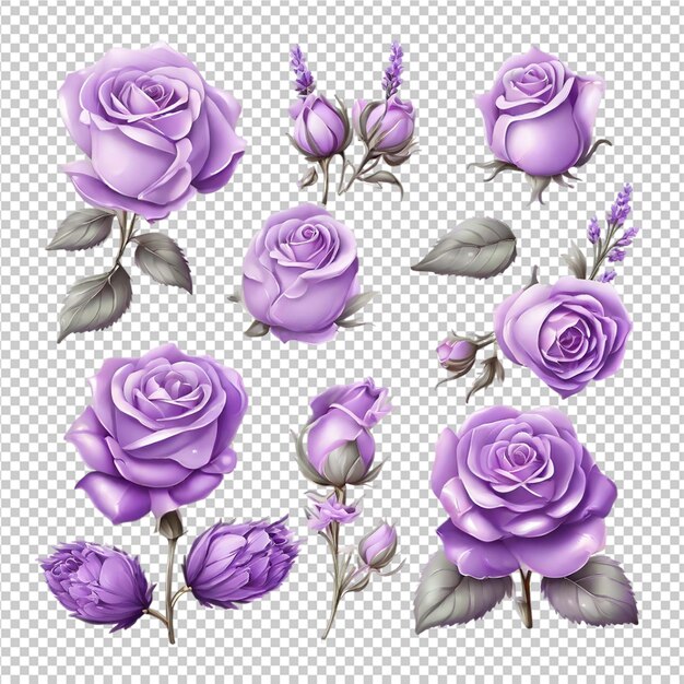 PSD rose set flowers craft isolated on transparent background