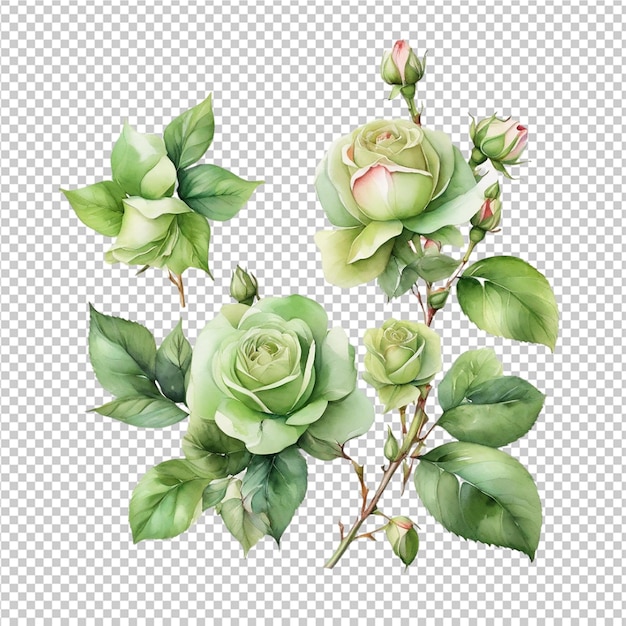 PSD rose set flowers craft isolated on transparent background