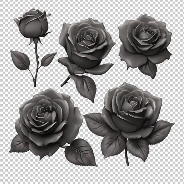 PSD rose set flowers craft isolated on transparent background