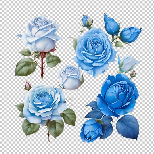 PSD rose set flowers craft isolated on transparent background